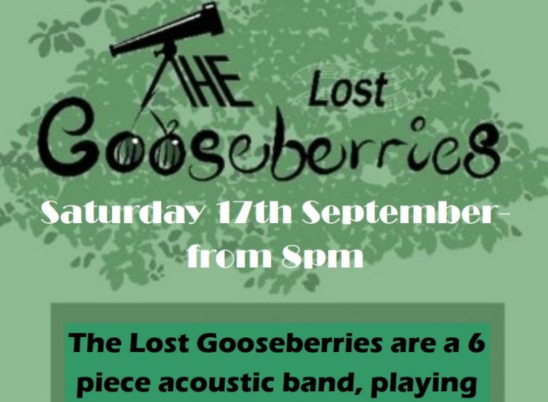 The Lost Gooseberries3